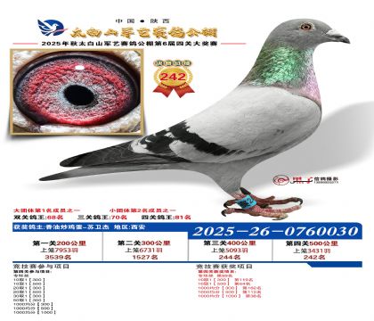 �������վ���242��