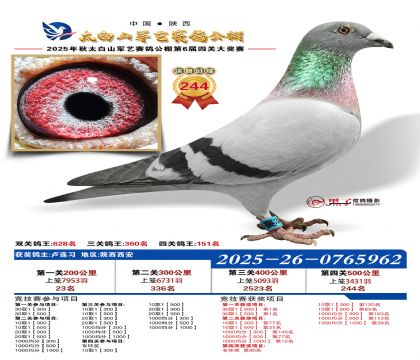 �������վ���244��