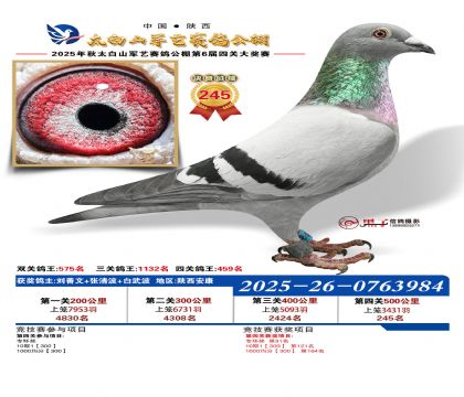 �������վ���245��