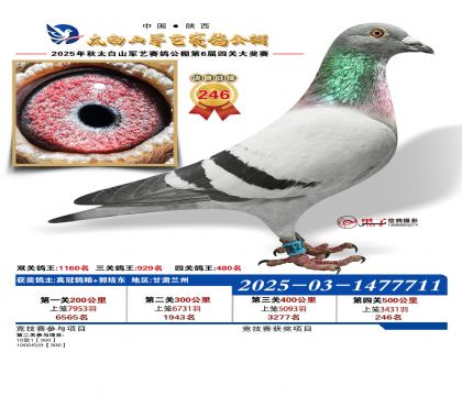 �������վ���246��