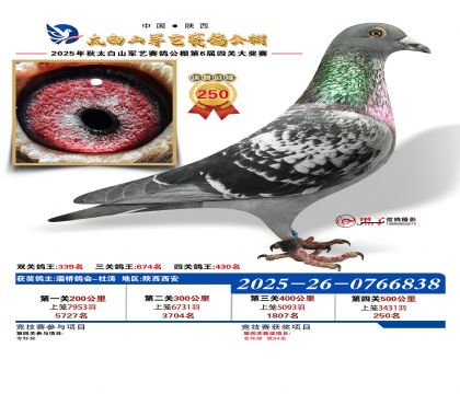 �������վ���250��