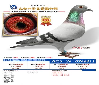 �������վ���251��