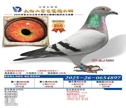 �������վ���255��