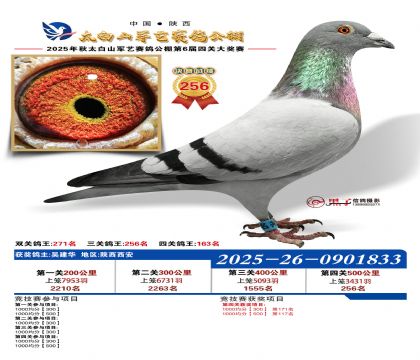 �������վ���256��