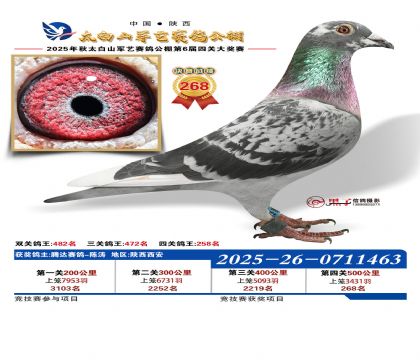 �������վ���268��