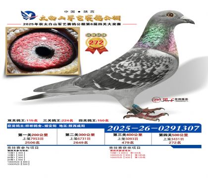 �������վ���272��