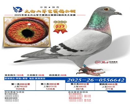 �������վ���277��