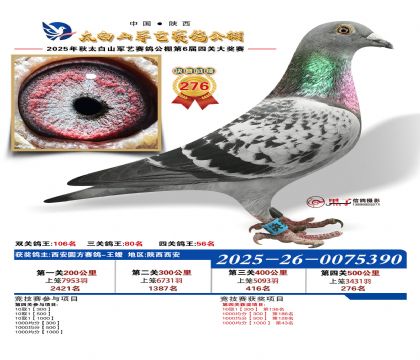 �������վ���276��