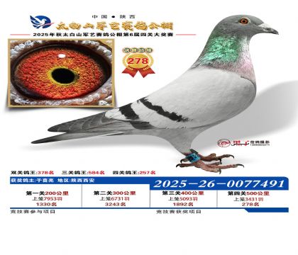 �������վ���278��