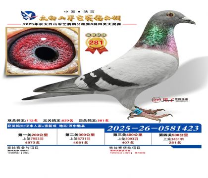 �������վ���281��