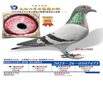 �������վ���282��