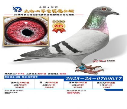 �������վ���285��