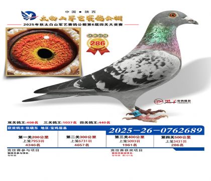 �������վ���286��