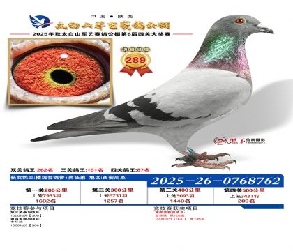 �������վ���289��