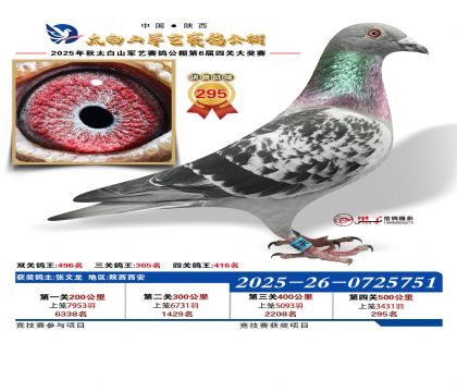 �������վ���295��