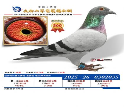 �������վ���300��