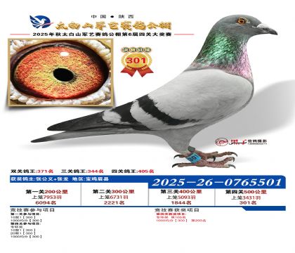 �������վ���301��