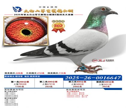 �������վ���302��