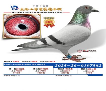 �������վ���305��