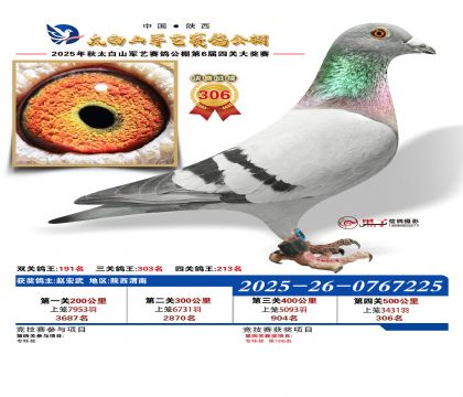 �������վ���306��