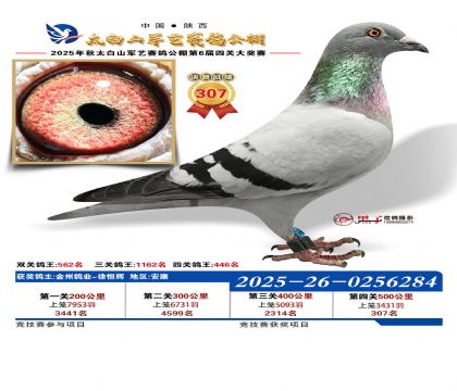 �������վ���307��