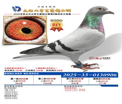 �������վ���311��