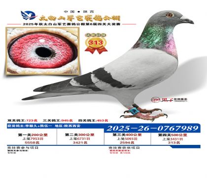 �������վ���313��