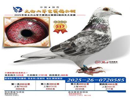 �������վ���317��