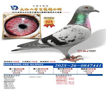 �������վ���324��