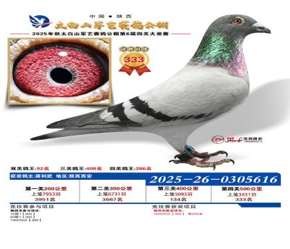 �������վ���333��