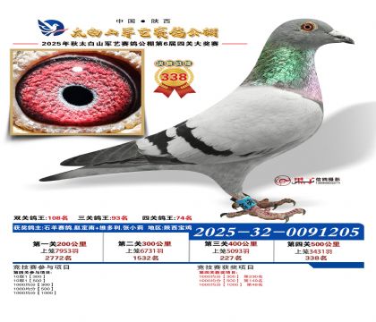 �������վ���338��