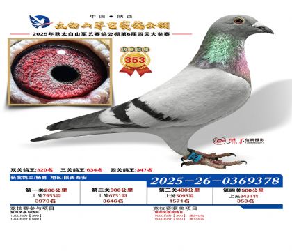 �������վ���353��