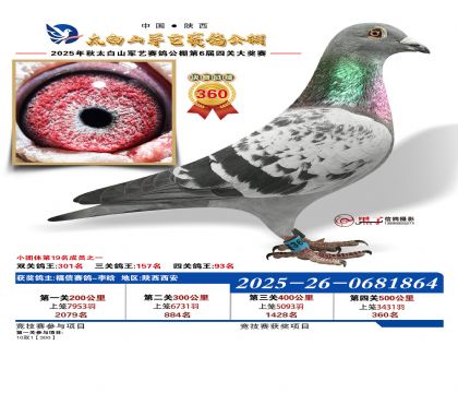 �������վ���360��