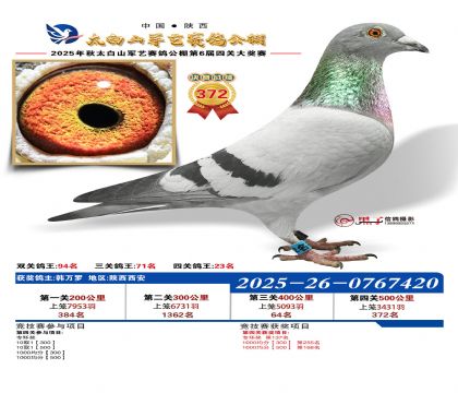 �������վ���372��