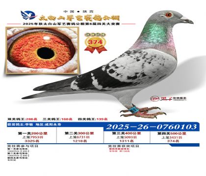 �������վ���374��