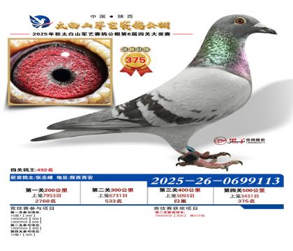 �������վ���375��