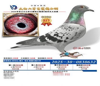 �������վ���377��