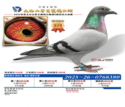 �������վ���379��