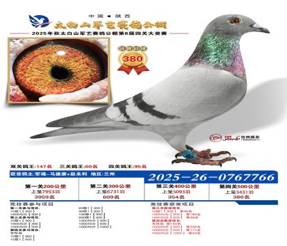 �������վ���380��