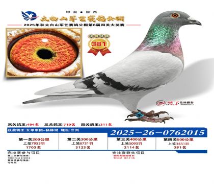 �������վ���381��