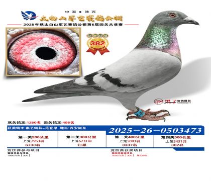 �������վ���382��