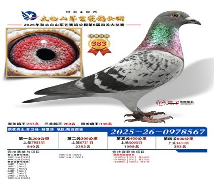 �������վ���383��