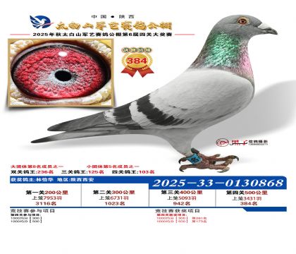 �������վ���384��