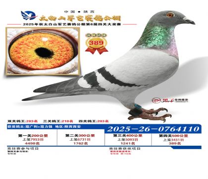 �������վ���389��