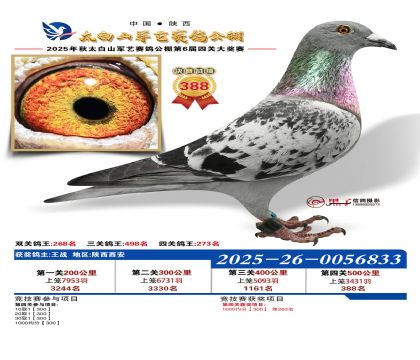 �������վ���388��