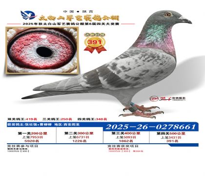 �������վ���391��