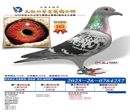 �������վ���393��