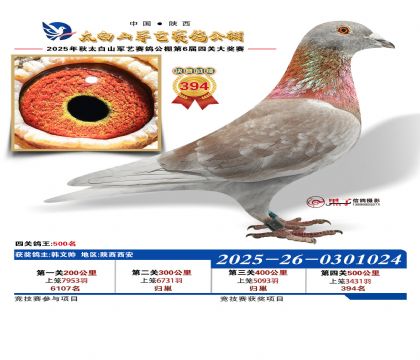 �������վ���394��