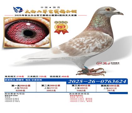 �������վ���397��