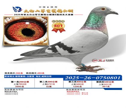 �������վ���401��